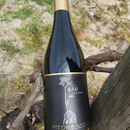 Quinta Regueiras Villa *