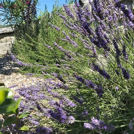 Quinta Regueiras Villa