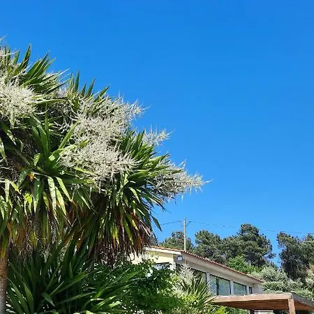 Quinta Regueiras Villa Viseu