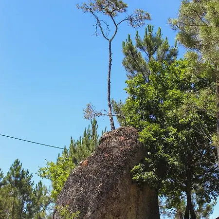 Quinta Regueiras *