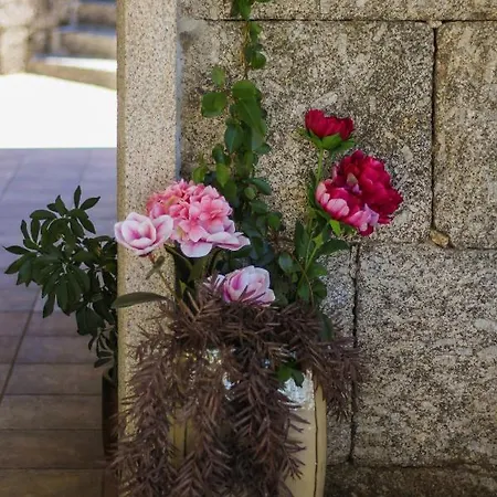 Quinta Regueiras * Viseu