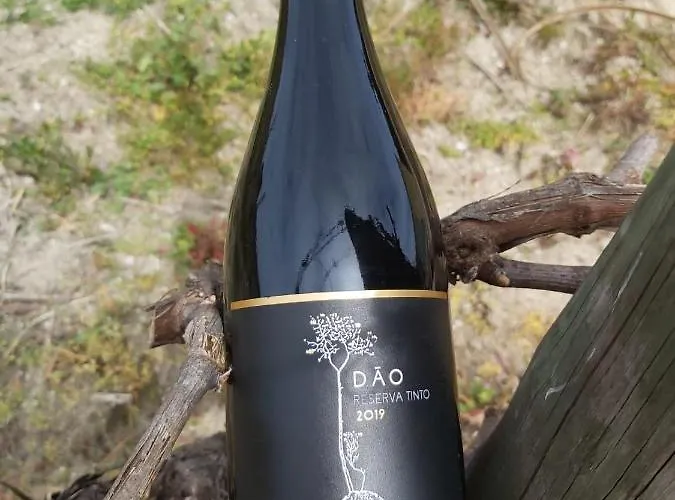 Quinta Regueiras فيلة *