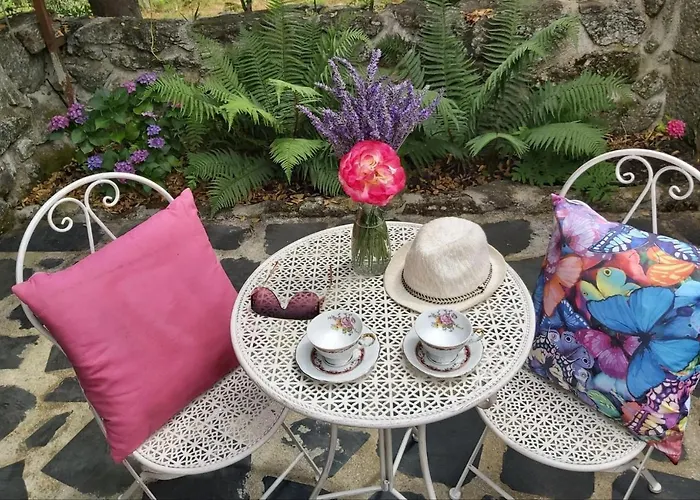 Quinta Regueiras فيلة فيزيو