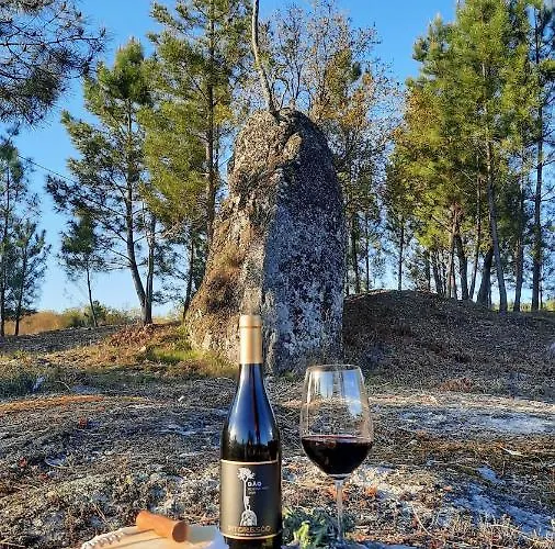 فيلة Quinta Regueiras