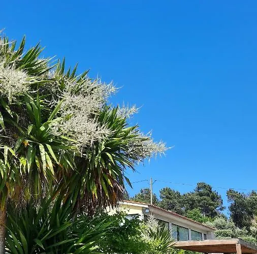 Quinta Regueiras فيلة فيزيو