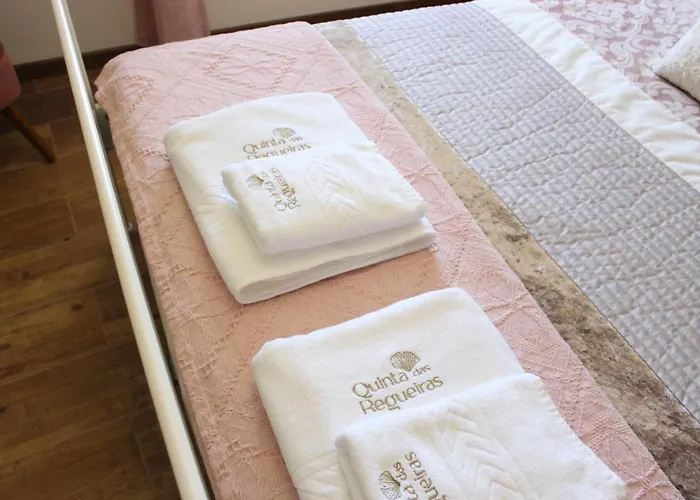 فيلة Quinta Regueiras