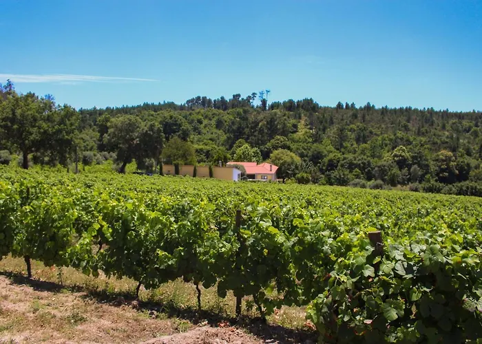 فيلة Quinta Regueiras