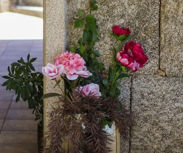 Quinta Regueiras * فيزيو