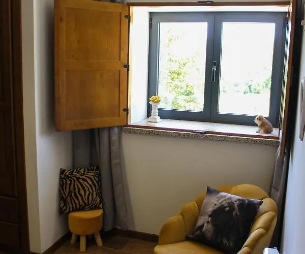 Quinta Regueiras فيلة فيزيو