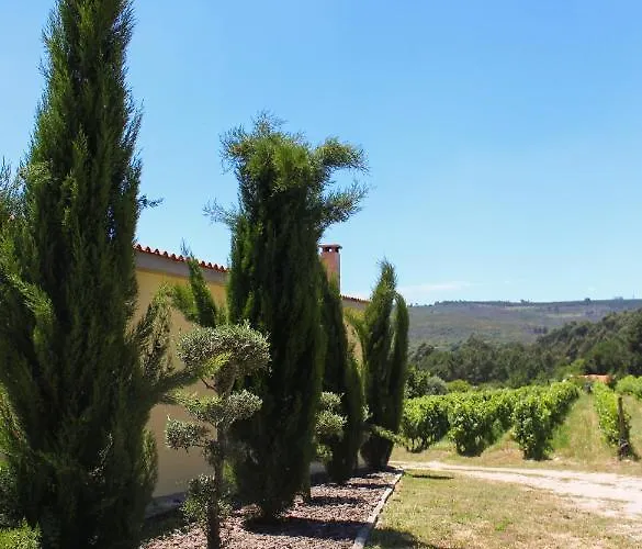 فيلة Quinta Regueiras