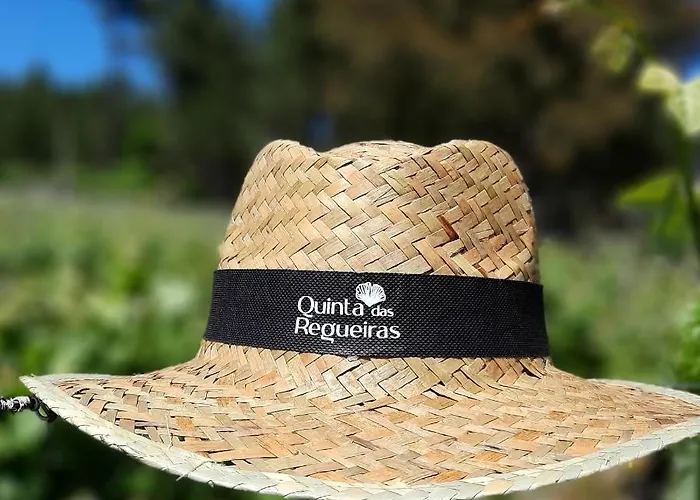 Quinta Regueiras فيزيو