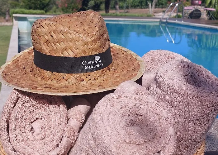 Quinta Regueiras فيلة فيزيو